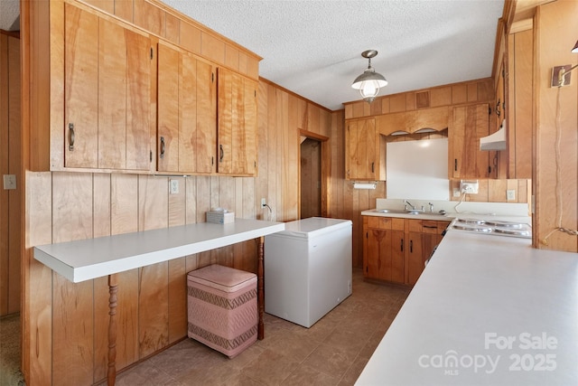 laundry area with laundry area, a textured ceiling, a sink, and wood walls