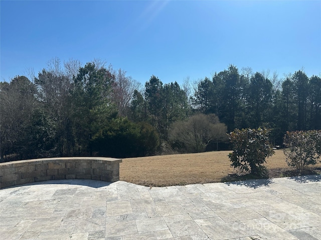 view of yard featuring a patio area