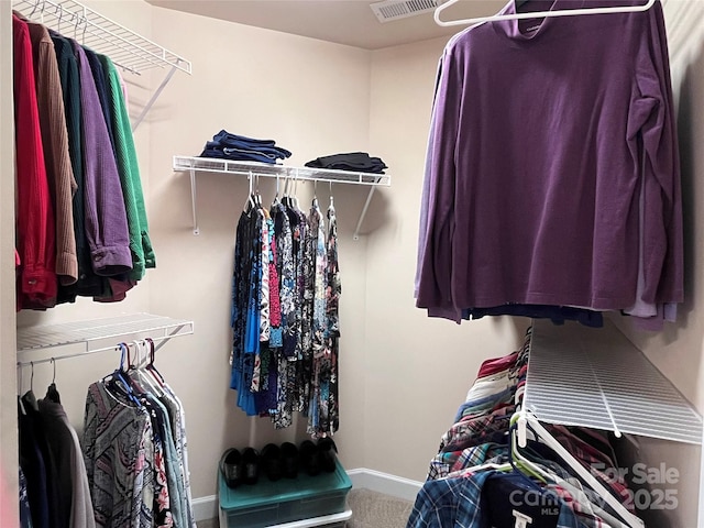 spacious closet featuring carpet