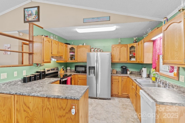 kitchen with a peninsula, glass insert cabinets, stainless steel appliances, and a sink