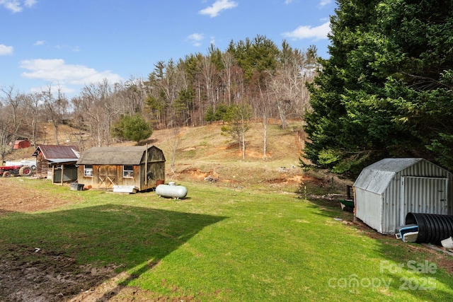 view of yard featuring an outdoor structure and a shed