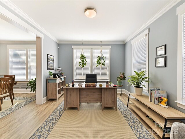 home office featuring a healthy amount of sunlight, light wood-type flooring, and ornamental molding