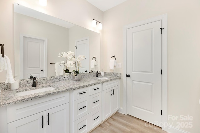 bathroom with wood finished floors, a sink, and double vanity