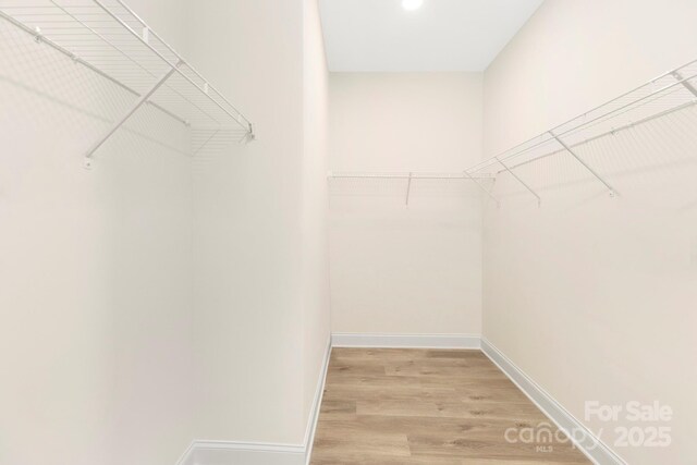 walk in closet featuring wood finished floors