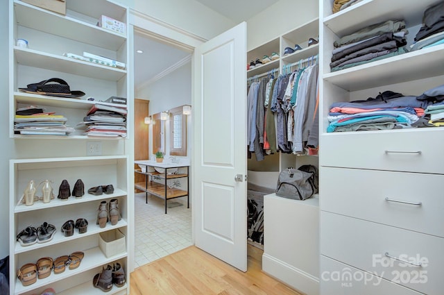 walk in closet with wood finished floors