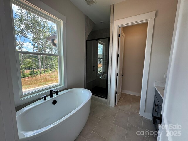 7459 Fighting Creek Rd Unit 33, Sherrills Ford, NC 28673 - full bathroom with vanity, a soaking tub, a stall shower, and plenty of natural light