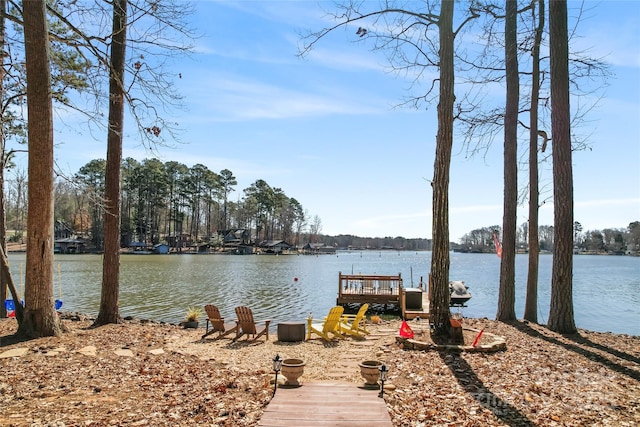 dock area with a water view