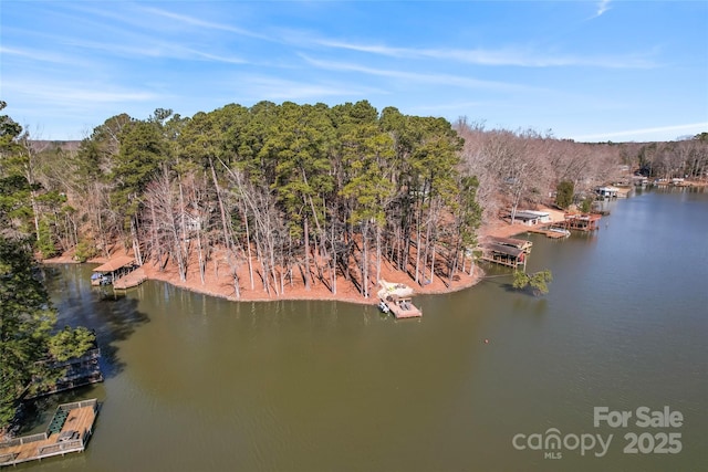 birds eye view of property featuring a water view and a wooded view