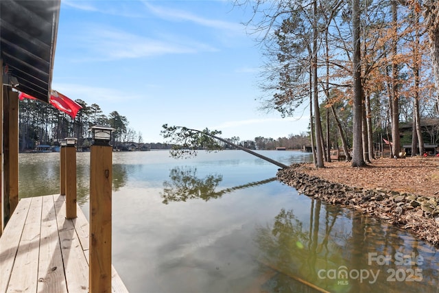 dock area featuring a water view