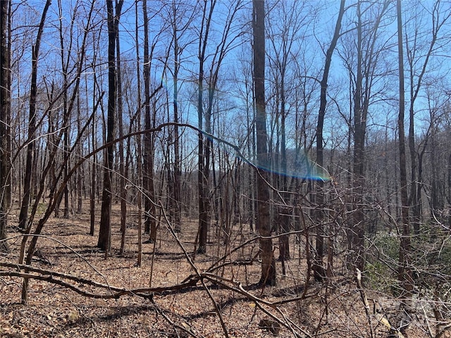 TBD Glen Ridge Trail 252, Lake Lure, NC 28746