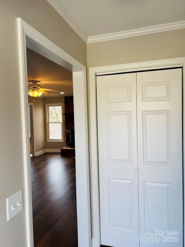 corridor featuring baseboards, dark wood-type flooring, and crown molding