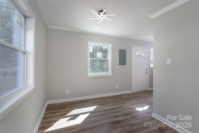 spare room with dark wood-style floors, ornamental molding, electric panel, and baseboards