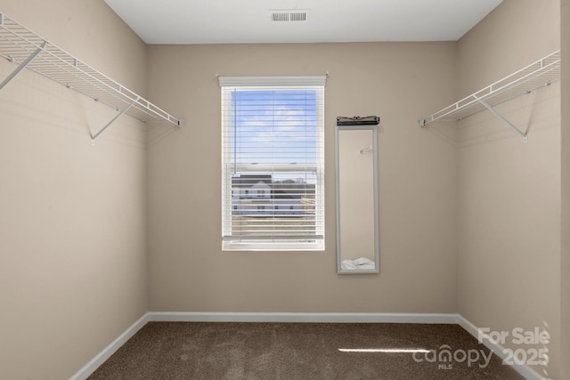 spacious closet featuring carpet and visible vents