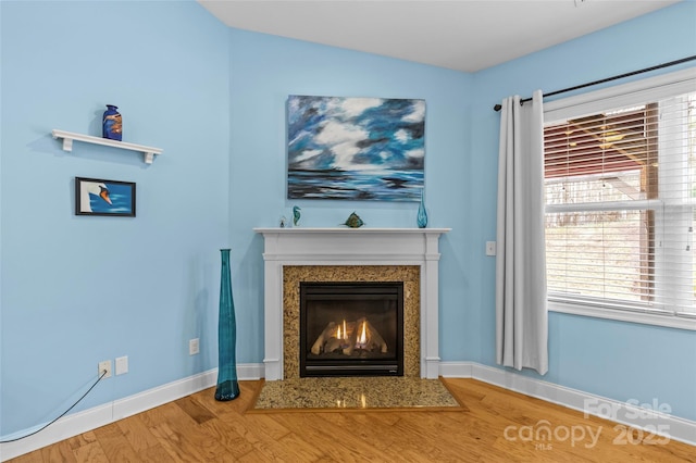 room details with wood finished floors, baseboards, and a premium fireplace