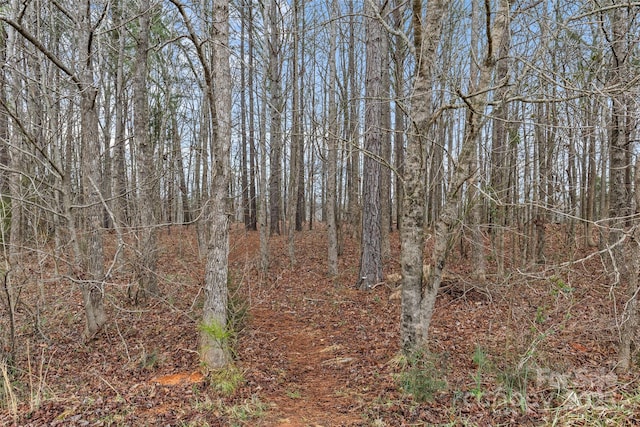 view of landscape