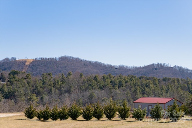 property view of mountains with a view of trees and a rural view