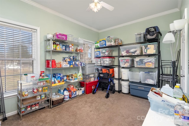 storage with ceiling fan