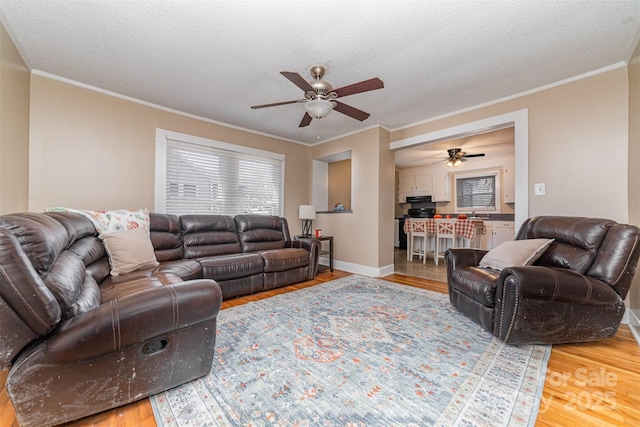 living area featuring ornamental molding, light wood-type flooring, and a textured ceiling