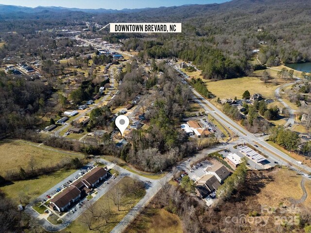 391 Hawthorne Dr, Brevard, NC 28712 - photo 42