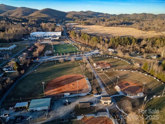 391 Hawthorne Dr, Brevard, NC 28712 - photo 44