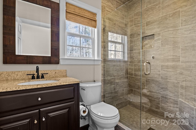 bathroom with toilet, a shower stall, and vanity