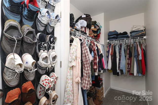 spacious closet featuring carpet floors