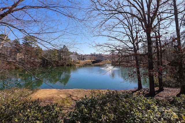 property view of water