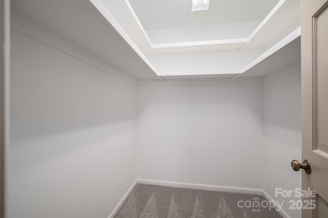 spacious closet with carpet