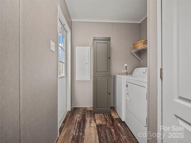 laundry area featuring dark wood-style floors, laundry area, electric panel, and washing machine and clothes dryer