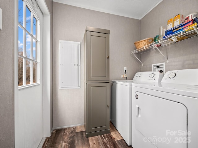 laundry room featuring dark wood-style flooring, cabinet space, electric panel, washer and clothes dryer, and crown molding