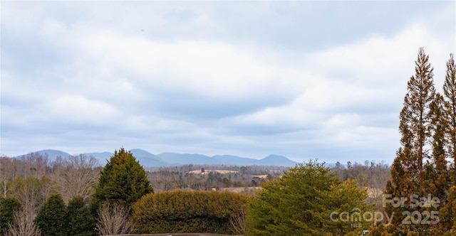 property view of mountains featuring a wooded view