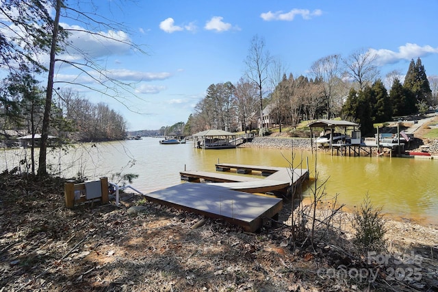 dock area with a water view