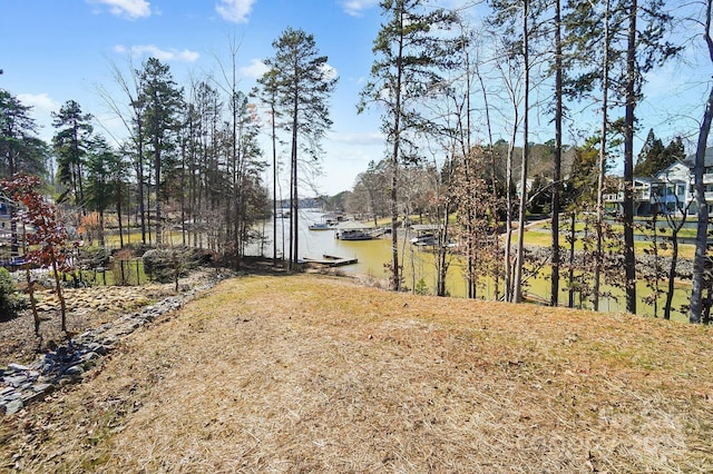 view of yard featuring a water view