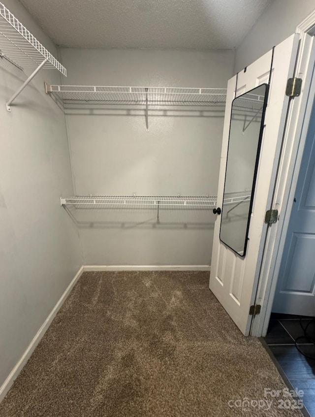 spacious closet with carpet floors