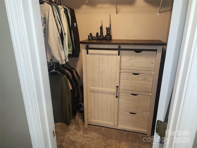 walk in closet featuring carpet floors