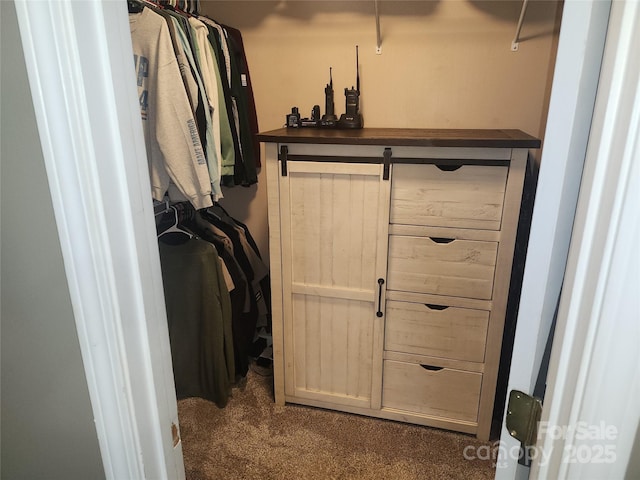 1638 Marmot Pl, Concord, NC 28025 - walk in closet with carpet