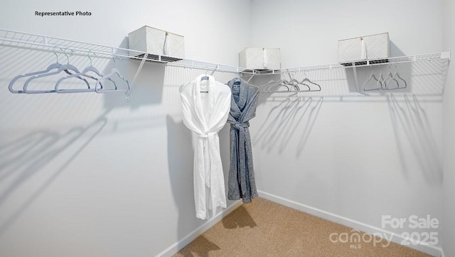 walk in closet featuring carpet floors