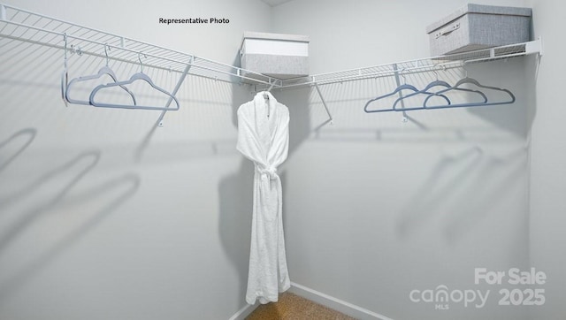 spacious closet with carpet flooring