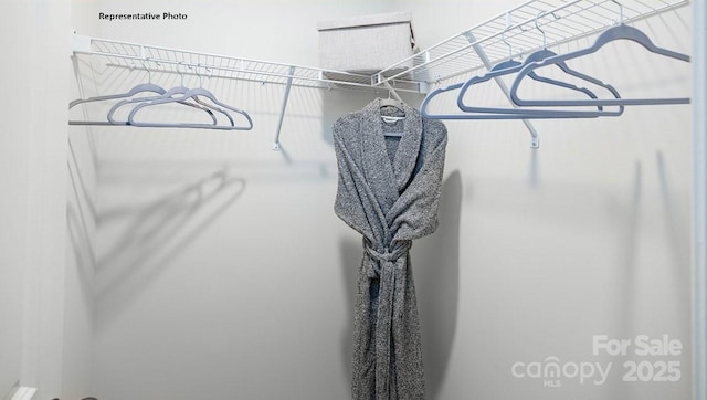 view of spacious closet