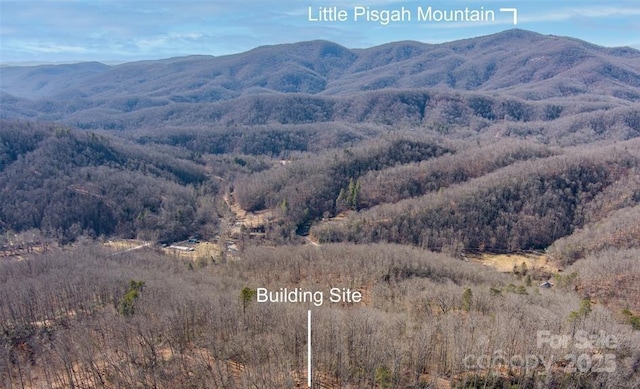 Listing photo 2 for 35 Lower Sand Branch Rd, Black Mountain NC 28711