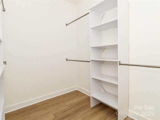 walk in closet with light wood-type flooring