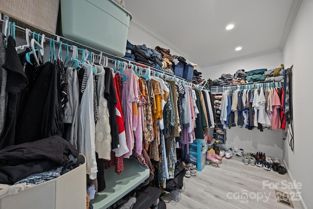 walk in closet with wood finished floors