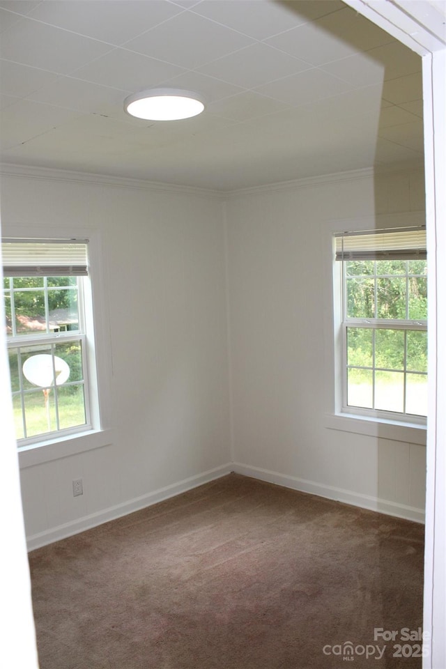 368 Piney Mountain Church Rd, Ellenboro, NC 28040 - photo 10