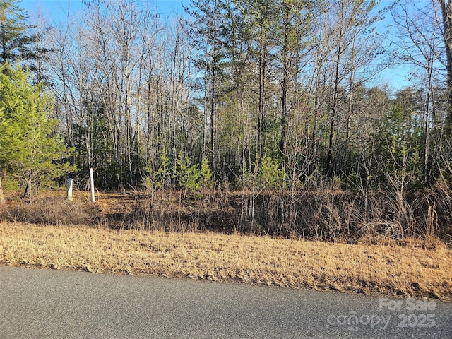 3163 Lake Drive 53 & 52, Morganton NC, 28655 land for sale