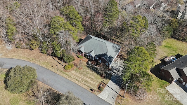 bird's eye view