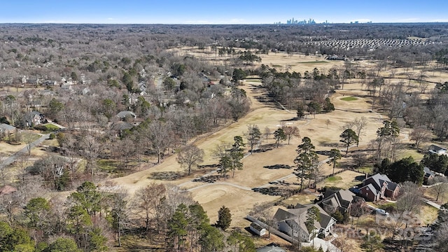 bird's eye view