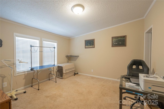 office space with a textured ceiling, carpet floors, ornamental molding, and baseboards