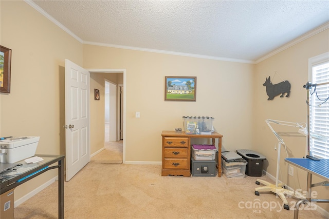 carpeted office with ornamental molding, a textured ceiling, and baseboards