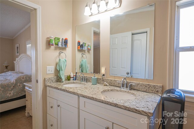 bathroom with plenty of natural light, a sink, and ensuite bathroom