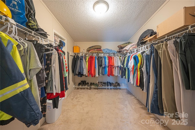 spacious closet with carpet floors